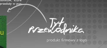 ty przewodnika